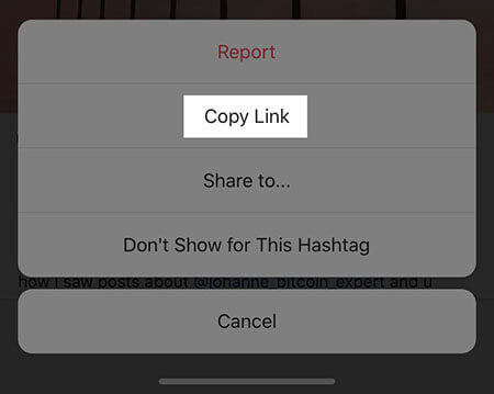 Instagram Copy Link Button.